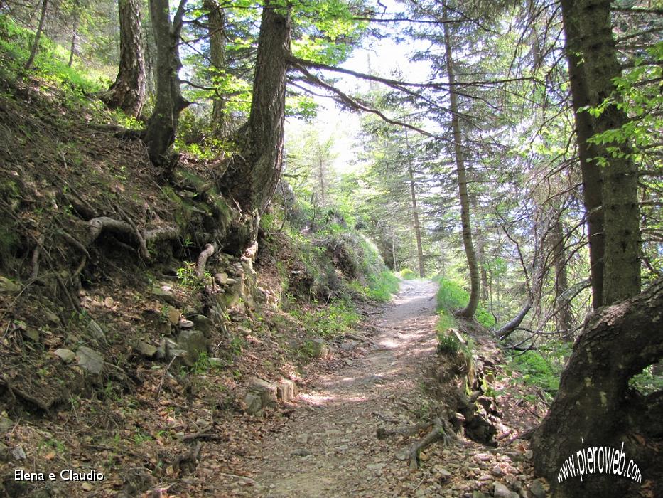 33 Il bel sentiero nel bosco.JPG